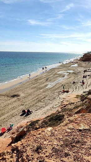 🌴🏖️ Playa del Mil Palmeras beach / Mil Palmeras Beach. Pilar de la Horadada. Noviembre / November. España / Spain 🇪🇦 #spain #myspain #playa #beach #turism #milpalmerals | Channel "My Spain" - Travels in Spain and beyond for the Whole Family