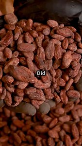 Discover the fascinating history of chocolate in our latest video! 🌱🍫 Learn how the ancient Aztecs valued cacao beans as a form of currency and why they considered cacao as a divine gift from the gods. Explore the deep cultural significance of cacao in Aztec society and see how enjoying chocolate today connects us to this rich historical tradition. Dive into the sweet history of chocolate and uncover the stories behind your favorite treat! Like and share this video if you love chocolate histor