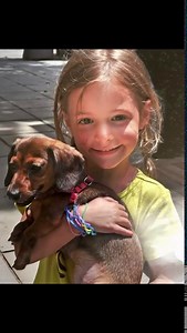 George Stephanopoulos and Ali Wentworth mourn tough loss of family dog
