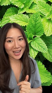 Marine Corps Exchange on Reels | Facebook