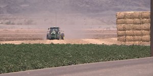 Farmers in Yuma prepare for Hurricane Hilary impacts