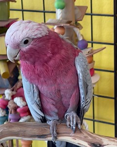 48 reactions · 14 comments | It’s an Amazing Thursday here at...