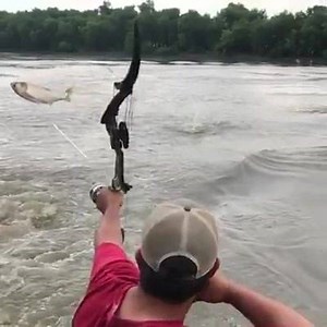 378K views · 4K shares | دقة التصويب على .. السمك !!! | Tam Kỳ Authentic | Facebook