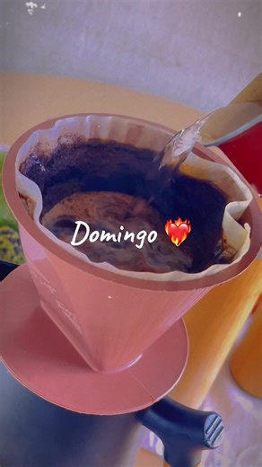 JoyceAlmeida1107 no TikTok