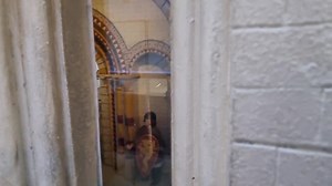 The art of museum in Norwich UK | Crisniels