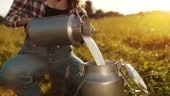 Slow motion shot of an unrecognizable woman pours milk from one milk...