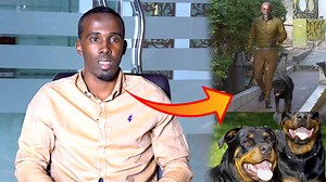 36K views · 447 reactions | "Cali Waran cade Wiilkiisa ayaa Qaadaya masuuliyada Dayaca Ey-gii Hargaysa Lagu Jidhay" Dr Ibraahim Dhuxulow | Horn Cable TV | Facebook