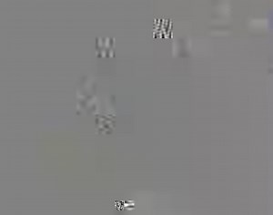 18K views · 718 reactions | Xavi Simons on Reels | Facebook