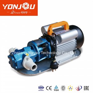 [Hot Item] Diesel Fuel Transfer Pump
