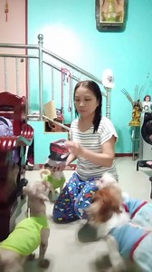 Dahil walang pandesal,ibang treats naman ang ibinigay ko sa Choco fam 🥰 #thechocolatesfamily #shihtzu | The Chocolates Family