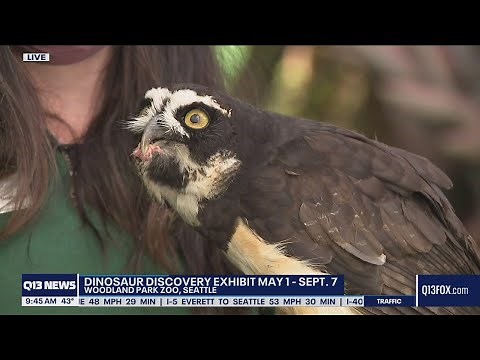 What's new at the Woodland Park Zoo in Seattle