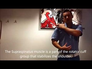 Supraspinatus muscle strengthening exercise for the rotator cuff