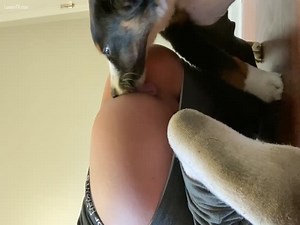 Dog loves my Femboy booty