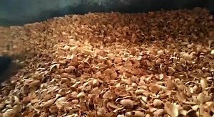 Almond Shell Grinder machine, Impact Pulvriser Grinder machine 📞☎️📱 91 88716 86000 | Punjab Engineering Corporation