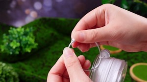 Harloon 6 Pcs Clear Figure Display Bag with Keychain Zipper Clear Display Case Blind Box Display Case for Figures Small Doll Storage Bag Hanging Blind Box Organizer for Figures