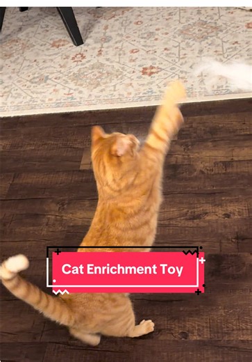 Him and his sissy played with this for 30 min straight 😂 #cattoy #catsoftiktok #catenrichment #pettoys #chunkycat