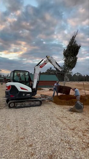 More trees are being planted. We are working hard and making progress everyday. Thank you for continuing to camp with us at Paradise. We truly appreciate all of your support! | Paradise Ranch RV Resort