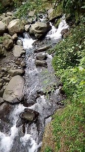 Beauty of nature💗 #nature #OFWTAIWAN #naturevibes #viralreels #trendingreel | Wenday Mondata