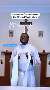 What does Immaculate Conception mean?O Mary conceived without sin, pray for us who have recourse to you. Amen 🙏🏽 Happy feast day 🎉 | Fr. James A. Faith-Chat Platform