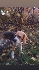 Micky Green on Reels | Facebook