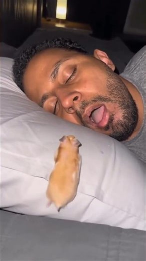 Rat jaga #trending #cute #funnycomedy 😭🤣🤣🤣