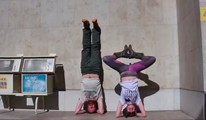 Waylon & the Elephants go to Natural Products Expo West! | elephant journal