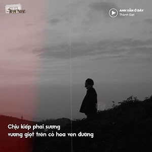 85K views · 4.6K reactions | Tình cảm ấy ngay từ đầu đã không nên có và người đó ngay từ đầu vốn dĩ đã không nên gặp... | Review Sài Gòn | Facebook