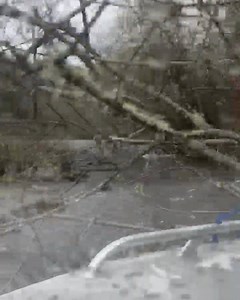 2.1K views · 38 reactions | Windshield life. Included with all windshield kits is 1/4” AR lexan pre cut with bolt holes and gaskets. @blakelongtin | Jetstream Adventure Boats | Facebook