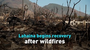 1.9K views · 18 reactions | After losing everything, many Lahaina residents are attempting recovery efforts. As the death toll continues to climb, many more are still missing. #cgtnamerica | CGTN America | Facebook