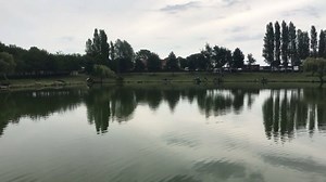 Rob Wootton on Reels