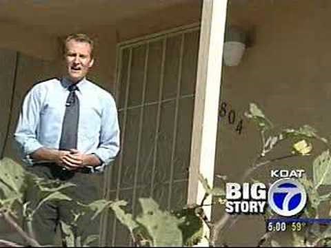 Jimson Weed Concerns