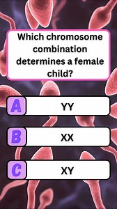 33K views · 2.4K reactions | 溺 Chromosome Combination That Determines a Female Child #brainteaser #puzzle #quiz #fun | Brain Bash | Facebook