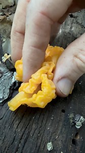 247K views · 2.9K reactions | Whether you are ready or not, it is...