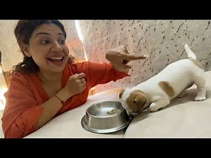2.5M views · 92K reactions | She Tasted Her FIRST Meal | Ss vlogs :-) | Sambhavna Seth | Facebook