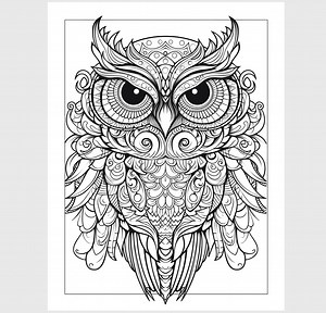 21 reactions · 5 comments | Leave a review HERE ...