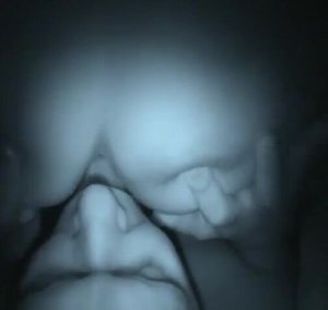 Boy eating his girlfriend's poop