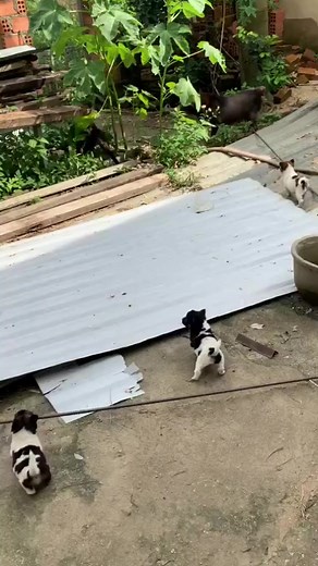 6.4K views · 87 reactions | Around the Clock+ on Reels | Facebook