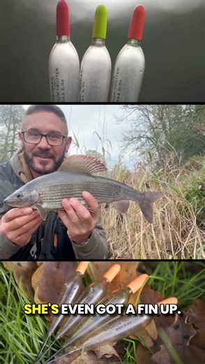 Titanium Trotters do Scotland! 🏴󠁧󠁢󠁳󠁣󠁴󠁿 We pride ourelves on giving products a good test and in the right hands. Simon Ashton is a very versatile specimen hunter and got the floats in the developing process. A beautiful float range where the details of design are spot on and usability in the right hands is hard to beat! Manufactured in our factories to exacting standards. -------------------------- These floats are ideal for a wide variety of river fish including roach, grayling, perch, ch