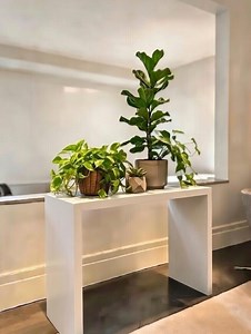 Handmade Oak Waterfall Console Table, Modern Entryway Sofa Table - Etsy Australia