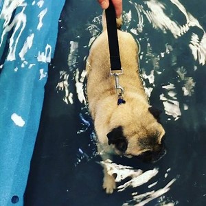 42K views · 6.4K reactions | Splash splash... Four weeks post...