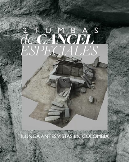 Crepes & Waffles on Reels