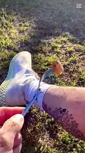 382K views · 3.9K reactions | Try not to laugh watching funny video of Junya 722025 65# gou #Junya #funny #meme #comedy #comedyvideo funnyvideo #funnystories #comedy #funny #pranks #viral #shorts #funny #fails #junya1goutiktok #JunyaBest #Junya1gou #shorts #TikTok #Junya #Junya1gou #JunyaLegend | Junya Gou | Facebook