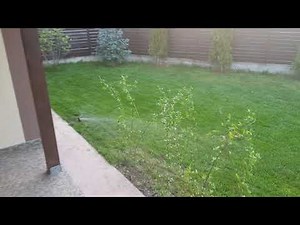 Sistem irigatii Gazon 2