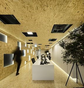 [Hot Item] Poplar OSB, Pine OSB Waterproof OSB3 for Construction