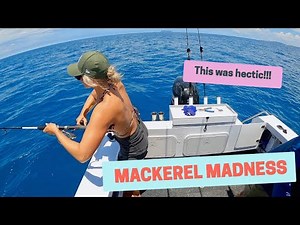 MACKEREL MADNESS | Great Keppel Islands with Bikini Angler