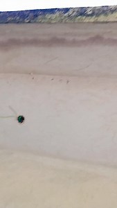 1.2K views · 2.4K reactions | Jab tum aa jate ho samne #trendingreels | Namita Pradhan | Facebook