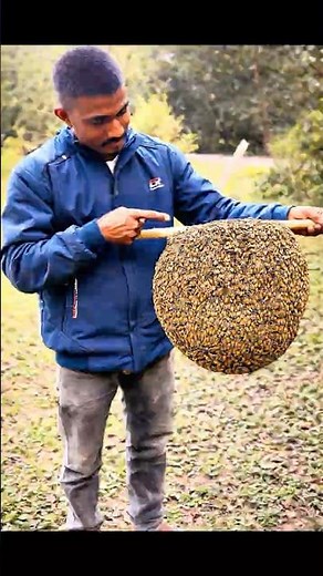🐝madhumakkhi vs honeyman 😱 #bee #madhumakhi#honey #honeybee #beehive #nature #beelover #viral #bee