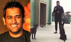 MS Dhoni playing with his dogs is the sweetest video you’ll see on Instagram!