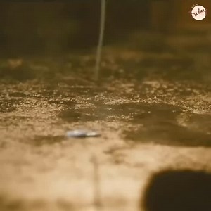 121K views · 4.8K reactions | The moment when the grumpy Hari (Fahadh...