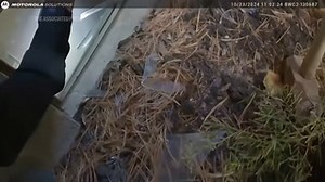 Dramatic Video Shows Woman Being Pulled From Small Basement Window Of Burning Home In Ohio